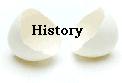 Picture: History logo