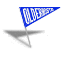 Picture: Olderhostel flag